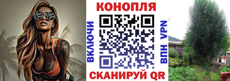 Бошки марихуана VHQ сколько стоит hydra маркетплейс Пучеж